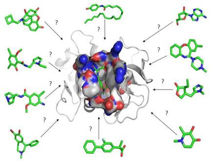 Acomplamiento molecular:: criterios prácticos para la selección de ligandos  biológicamente activos e identificación de nuevos blancos terapéuticos