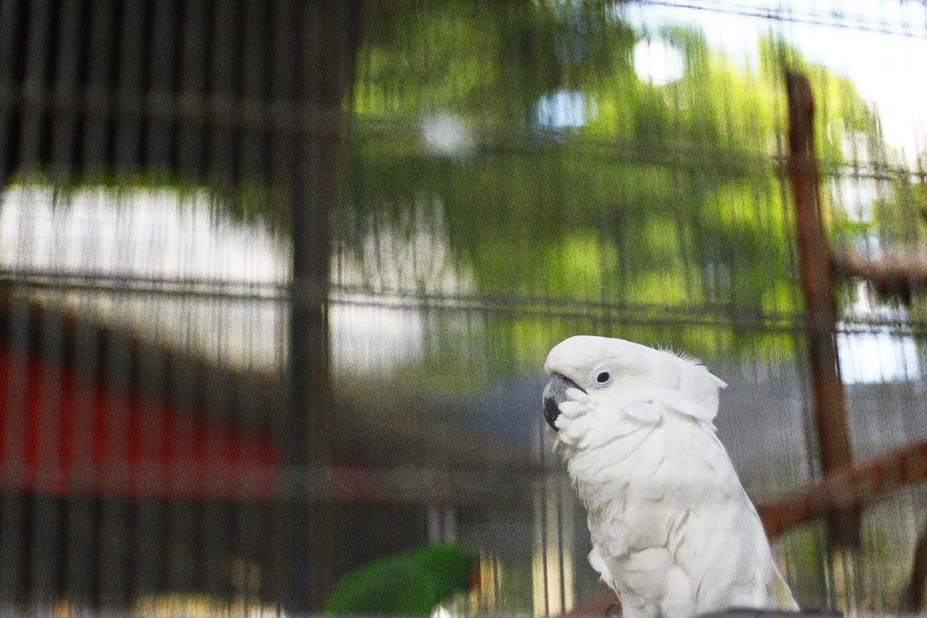 _MG_8597