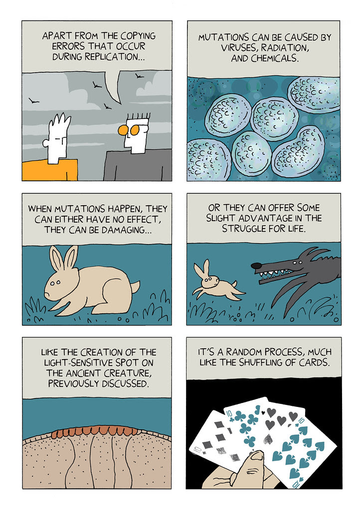 evolution 20
