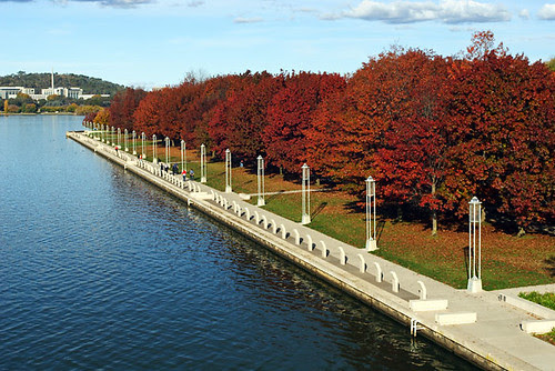 Canberra, Lake Burley Griffin, Australians of the Year Walk IMG_8400_Australians_Of_The_Year_Walk