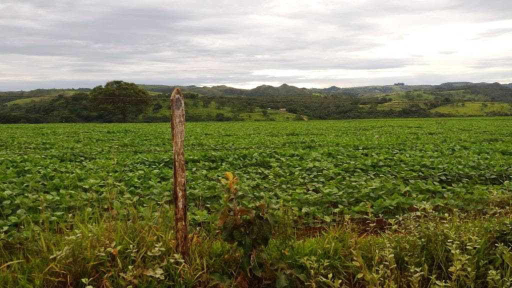 Fazenda onde nasci e vivi minha infância Vista da fazenda onde nasci e vivi minha infância. Perto de Alagoas, distrito de Patos de Minas, MG