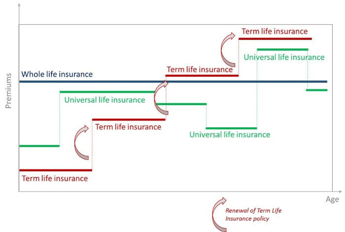 Term Life Insurance vs Whole and Universal Life Insurance ...