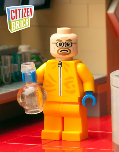 ChemistCitizenBrick2013
