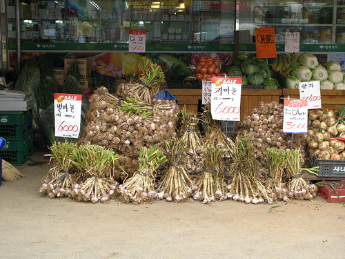 Garlic