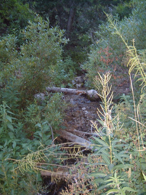 Gobblers Knob 08.28.05