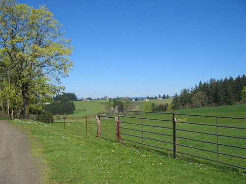 Helvetia