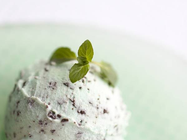 最高かつ最も包括的なチョコミント 壁紙 最高の花の画像