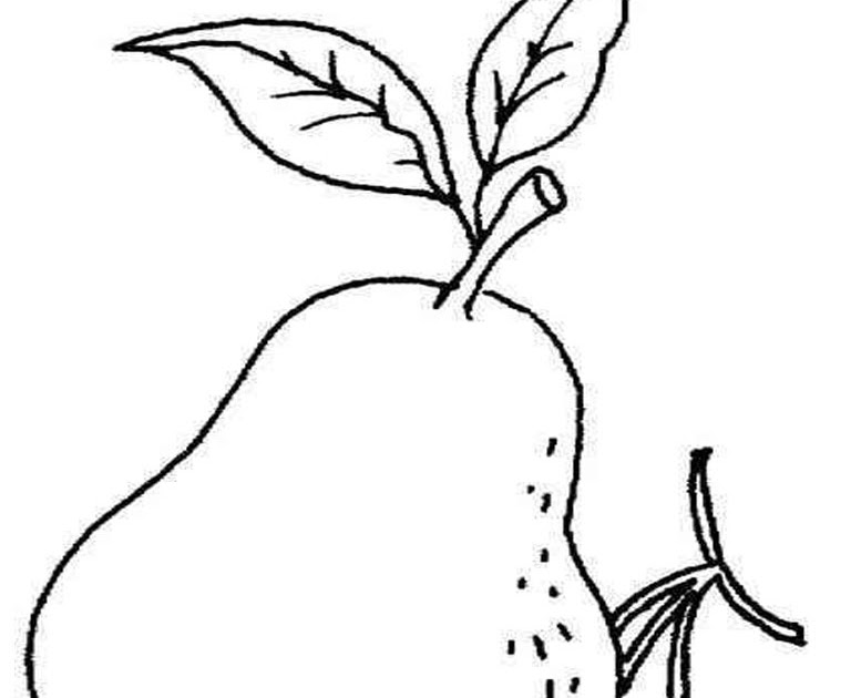 30 Ide Sketsa Gambar Pohon Rambutan Kartun - Tea And Lead