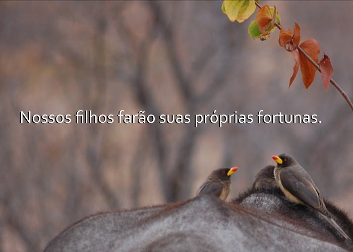 Os Segredos da Idade