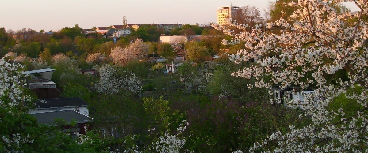47+ schön Foto Garten In Schwerin Die 15 Besten