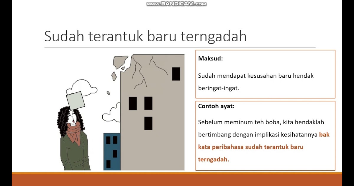 Arti peribahasa musang berbulu ayam adalah