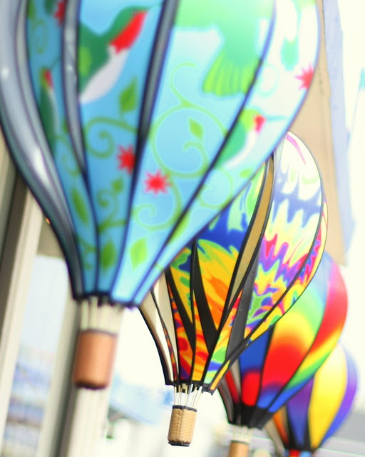 The Kite Store