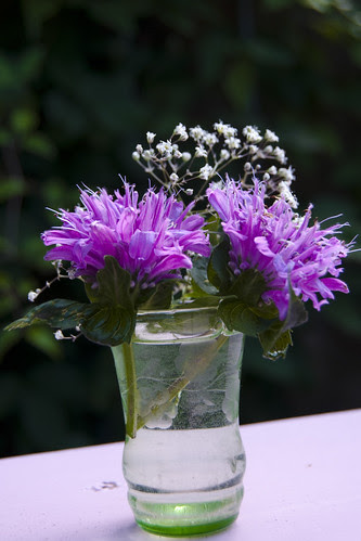 Green Vase