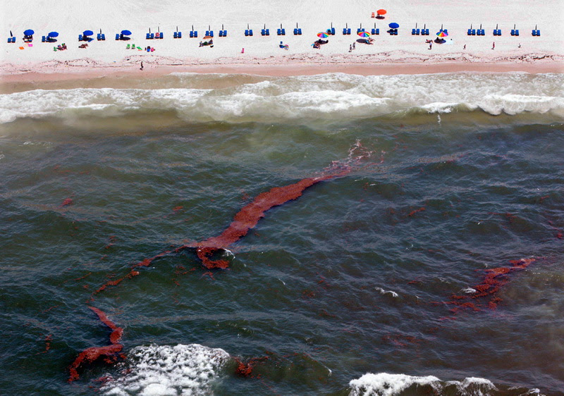 Scenes from the Gulf of Mexico