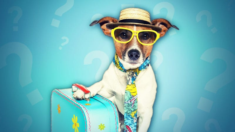 27 how many vacation days do you get images the o guide
