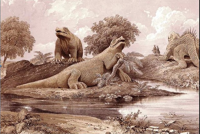 Baxter extinct dinasaurs