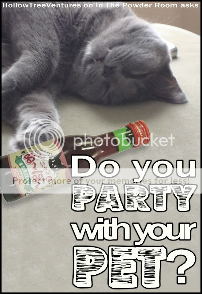Do you party with your pet?An essay about feline wine by Robyn Welling @RobynHTV