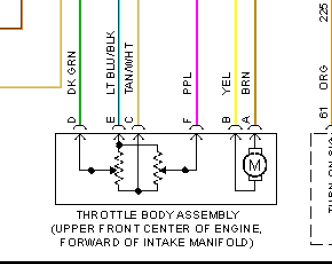 Ls2 Throttle Body Wiring Diagram - Wiring Diagram Schemas