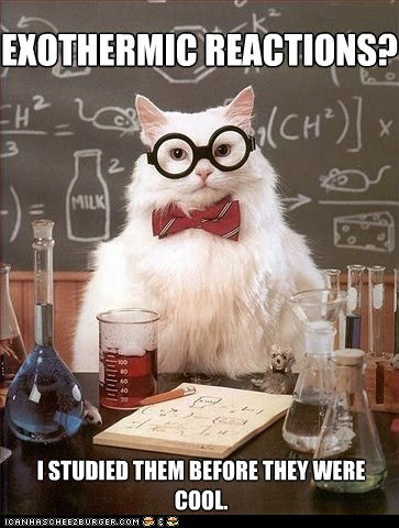 MemeCats: Hipster Chemistry Cat MemeCats: Hipster Chemistry Cat