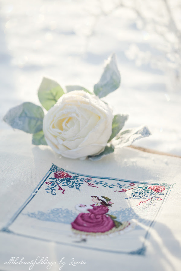 Winter Rose (Lavender & Lace)
