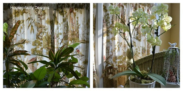 PicMonkey Collage