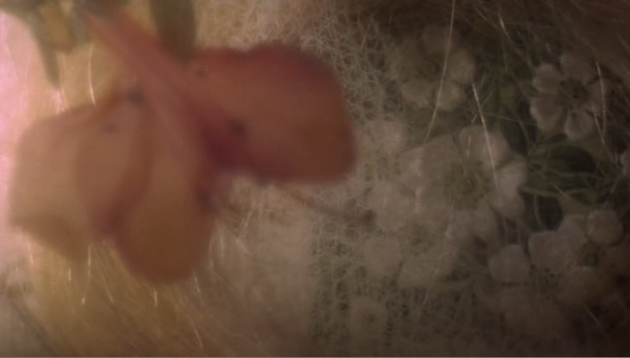 photo f01d2dbf-12ab-4b4a-9263-063006d353fc_zpseca11f3e.png