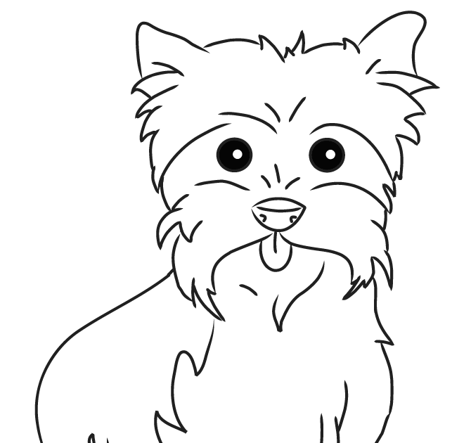 Free Yorkie Coloring Pages | Hakume Colors