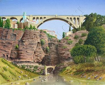 http://www.engival.fr/const-pont_sidi_rached-02.jpg