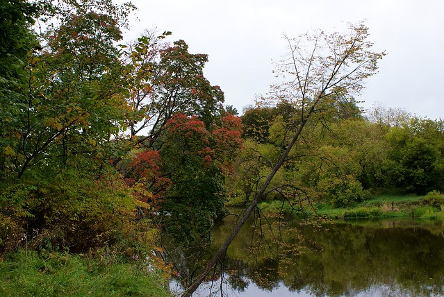 The Neris Regional Park in autumn