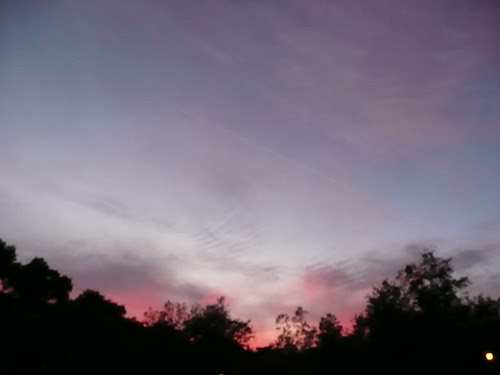 P1020032