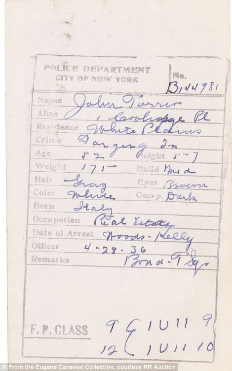 Papers: The collection of NYPD reports and documents related to mobsters and complaints, dated from throughout the 1930s
