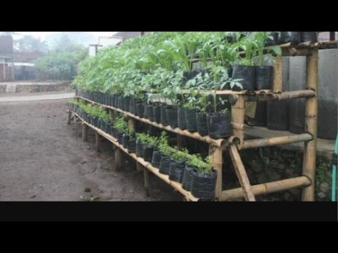 29 Terbaru Rak Tanaman Sayur Dari Bambu