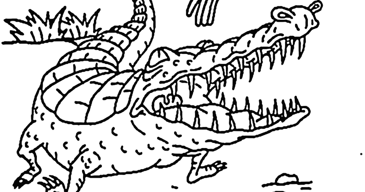 Darwin And Crocodile Coloring Pages For Kids Printable Free The Wild
