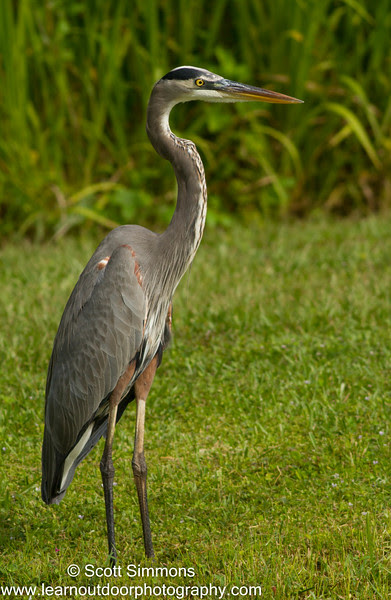 Photo & Video Sharing by SmugMug Photo & Video Sharing by SmugMug