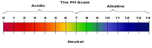 CAREER CONNECT : The Concept and importance of pH Scale
