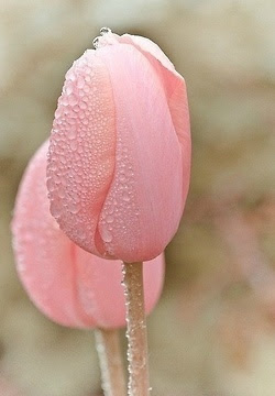 So beautiful and elegant.