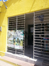 Ceça Cabeleireira e Equipe