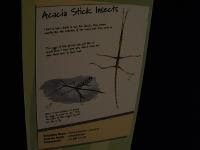 Free Image Hosting at www.ImageShack.us