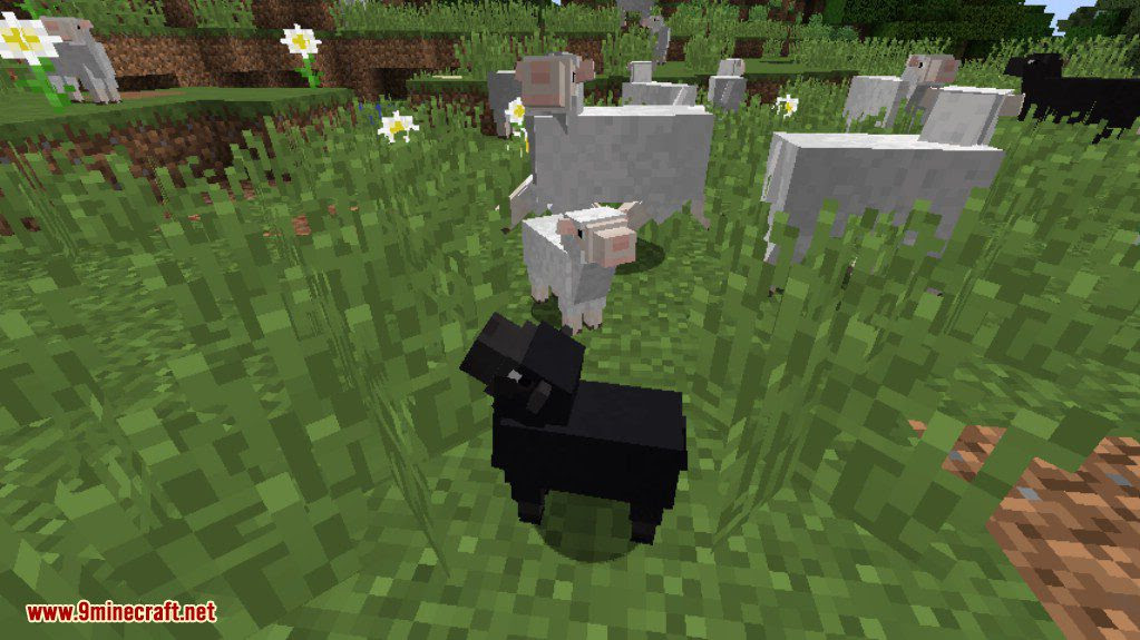 Minecraft Realistic Animals Mod - Omong q