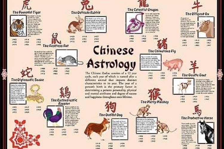 Chinese New Year Animals Meanings Compatibility - MEANONGS