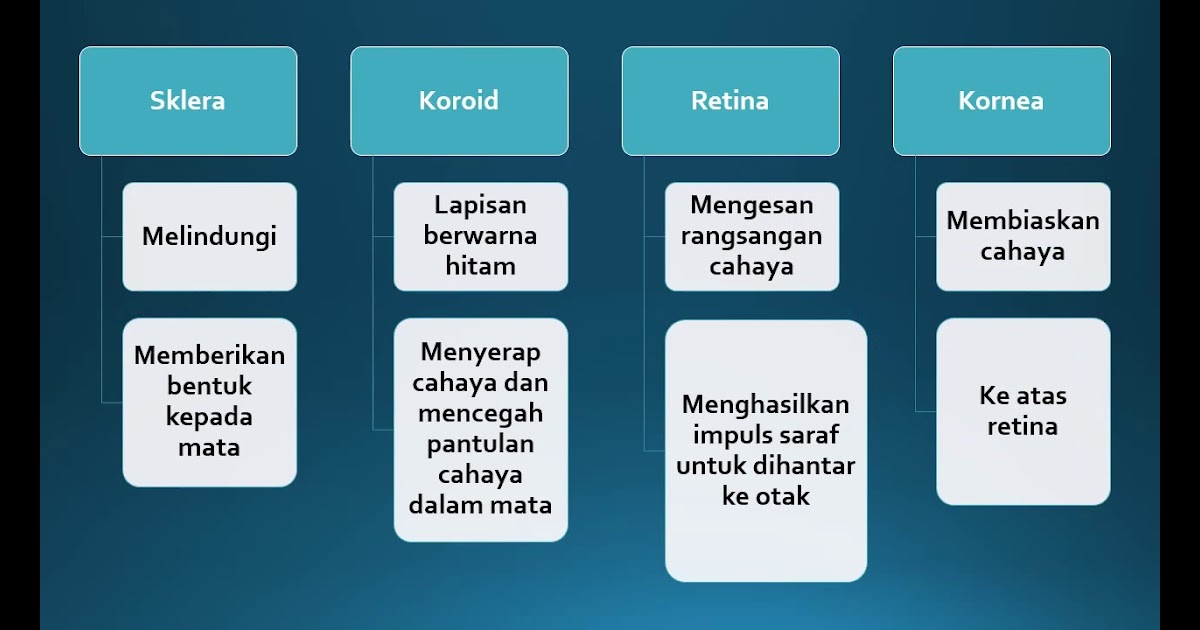 Nota Ringkas Sains Bab 8 Tingkatan 1