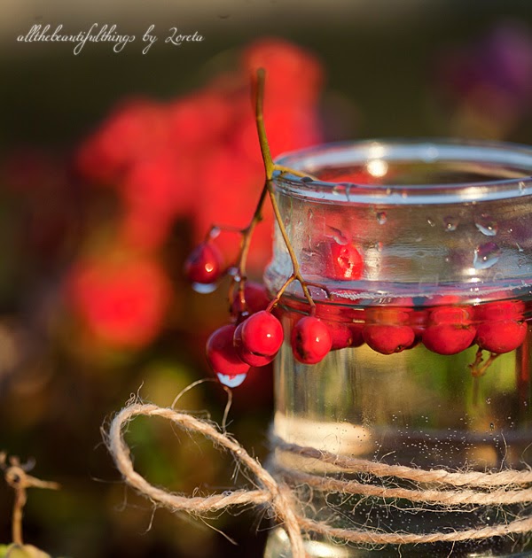Colors of Autumn