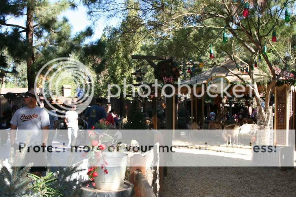 Reindeer Roundup at Big Thunder Ranch