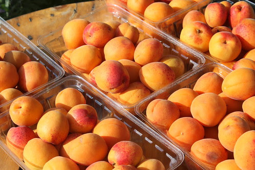 Michigan Peaches