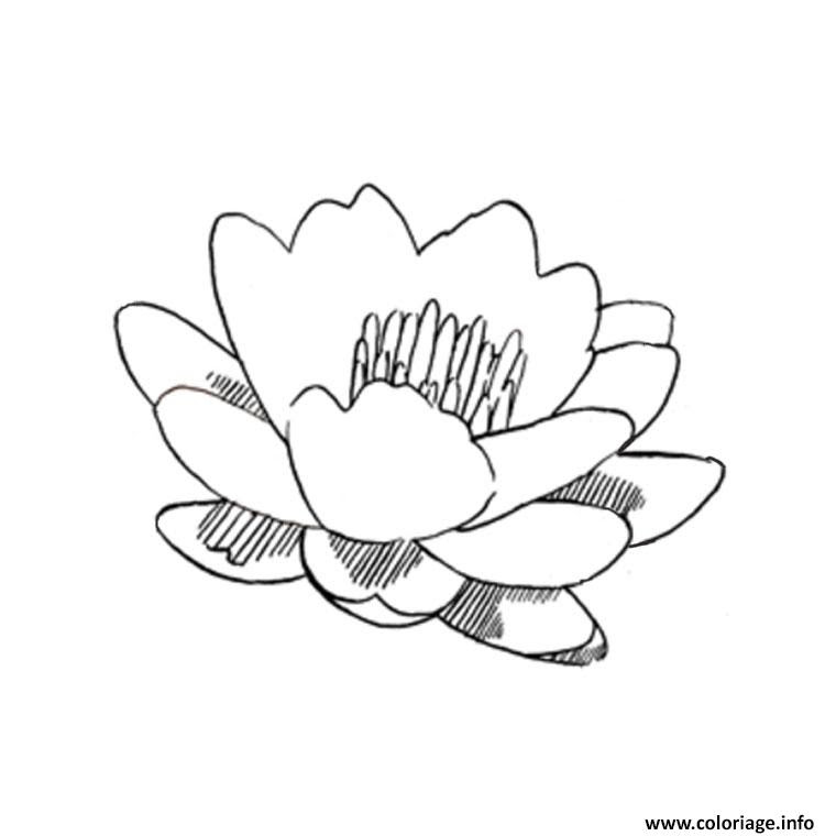 Coloriage Magique Addition Coloriage Fleur De Lotus