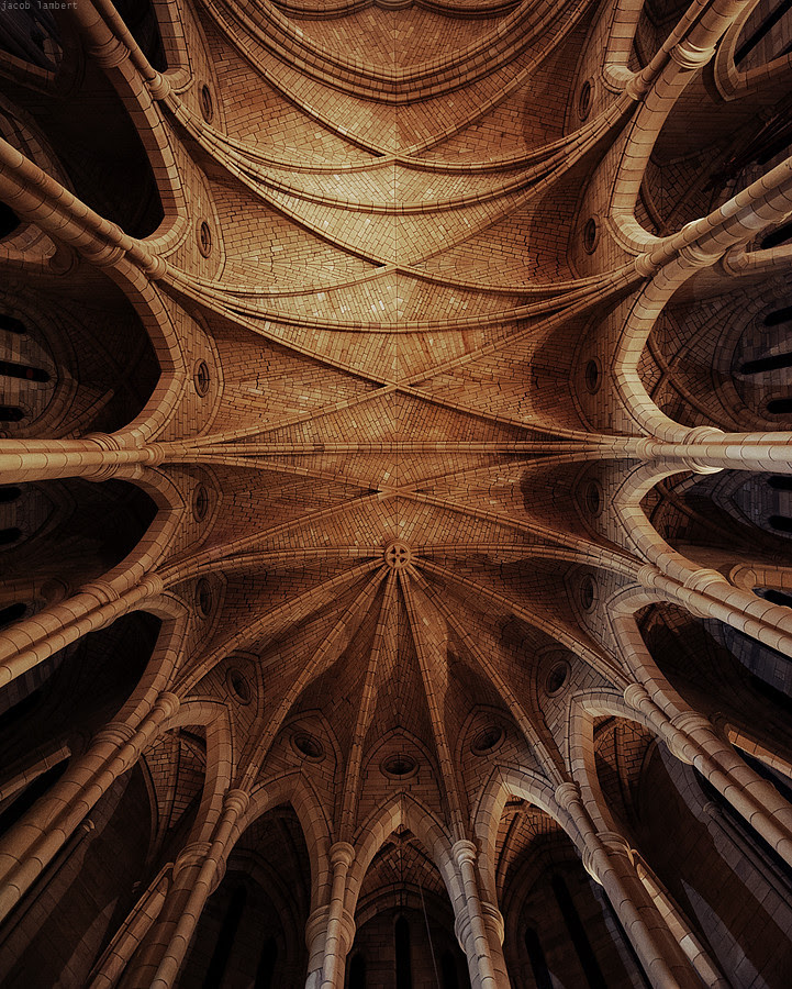 OZS_0910