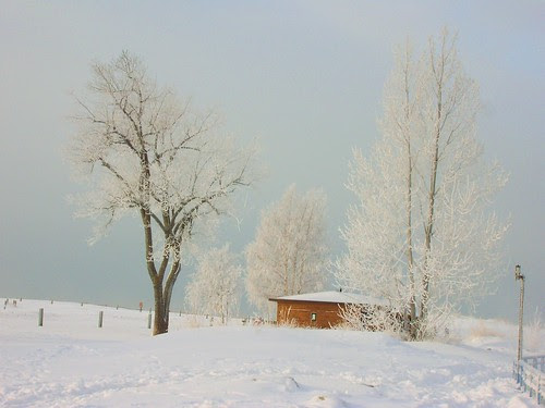 DSCN7085