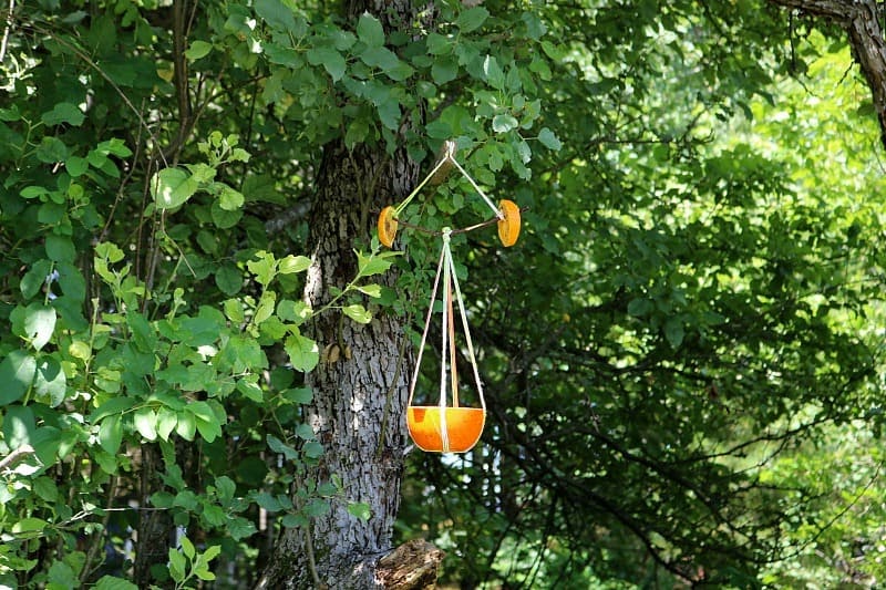 Diy Oriole Feeder - 15 Easy Plans For Your DIY Bird Feeders