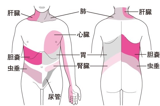 左 腰 背中 痛み 便秘