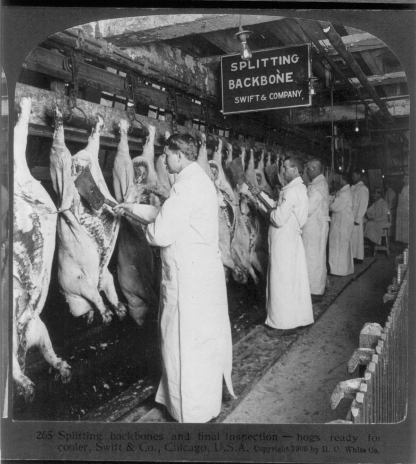 http://upload.wikimedia.org/wikipedia/commons/5/52/Chicago_meat_inspection_swift_co_1906.jpg